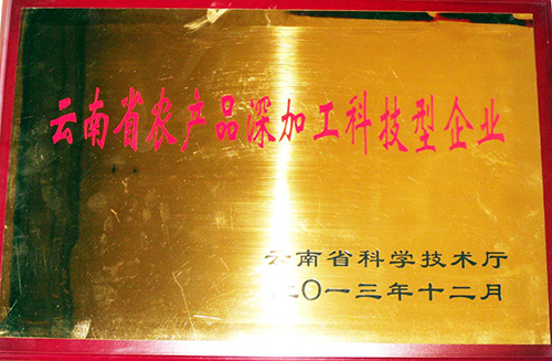 公司榮譽